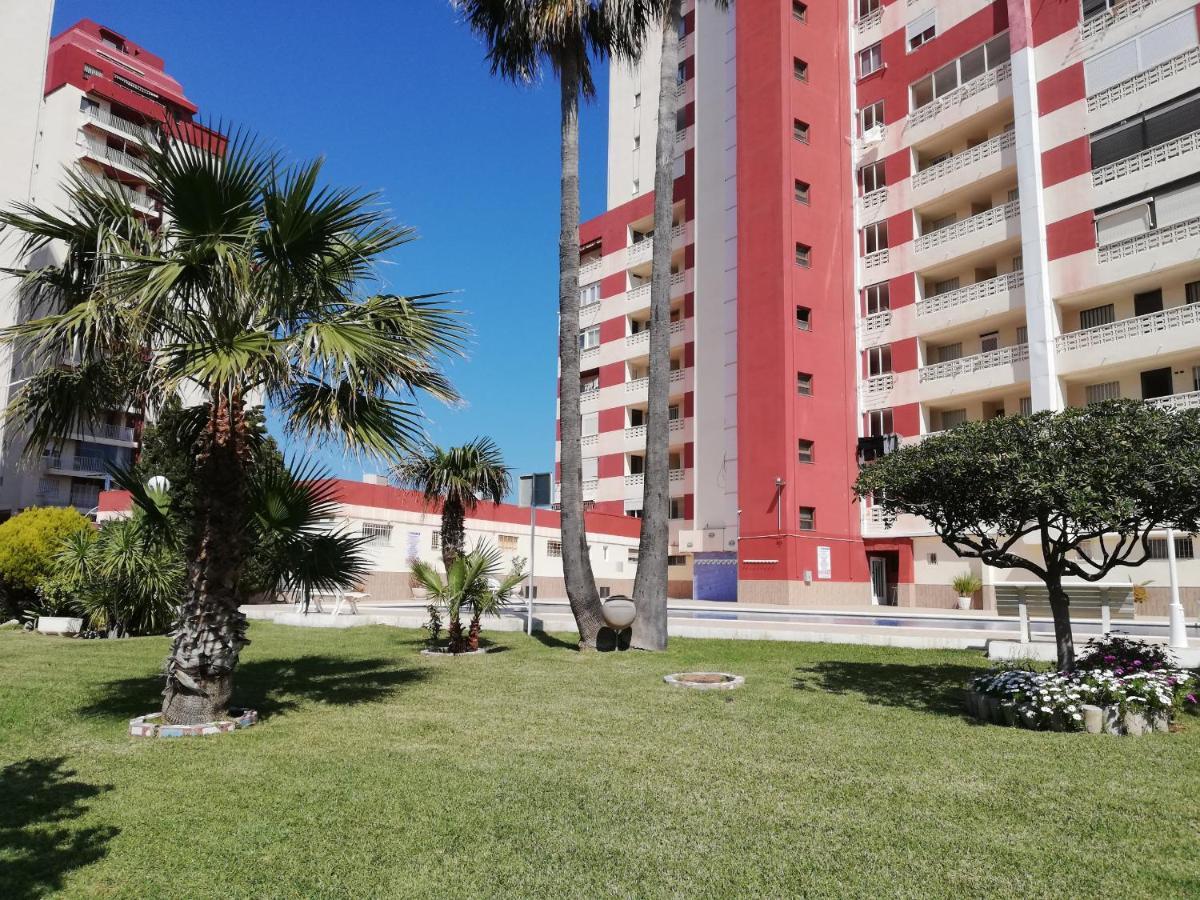 Don Ximo Solo Familia Serviplaya Playa de Gandia 外观 照片