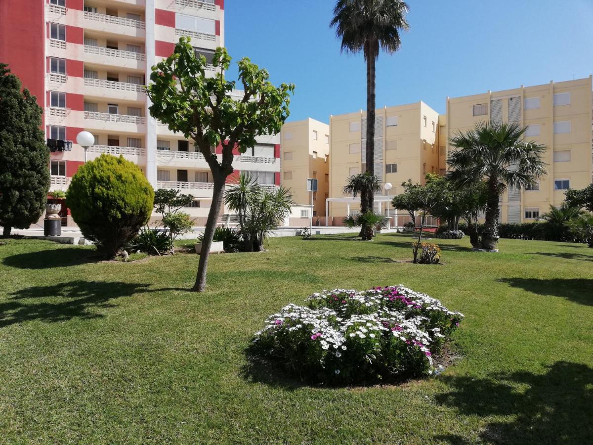 Don Ximo Solo Familia Serviplaya Playa de Gandia 外观 照片